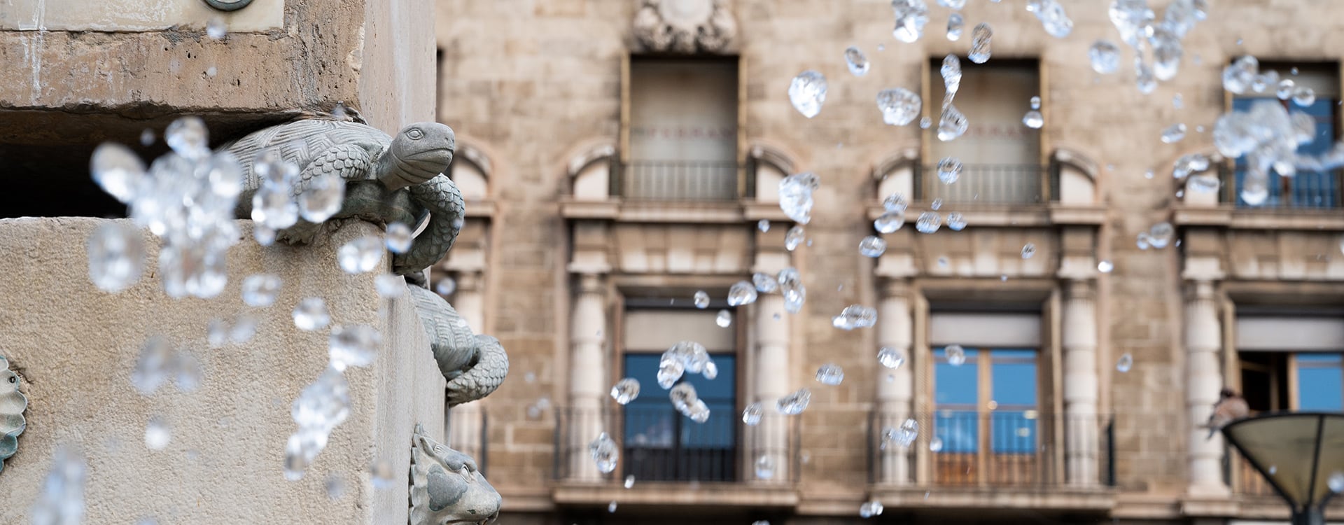 Gestion concursal | Gestion concursal